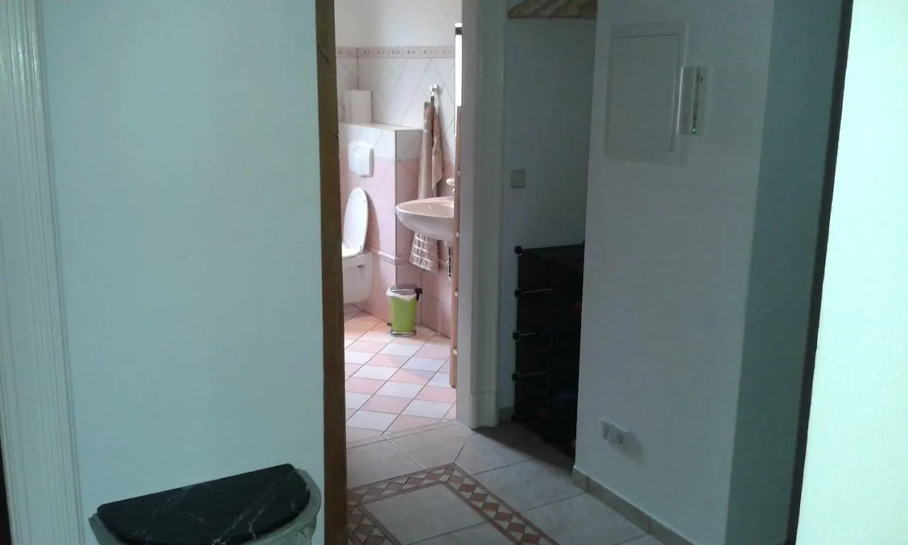 2 Ferienwohnungen In Einem Haus 2 Km Vom Zentrum Leipzigs Апартаменты